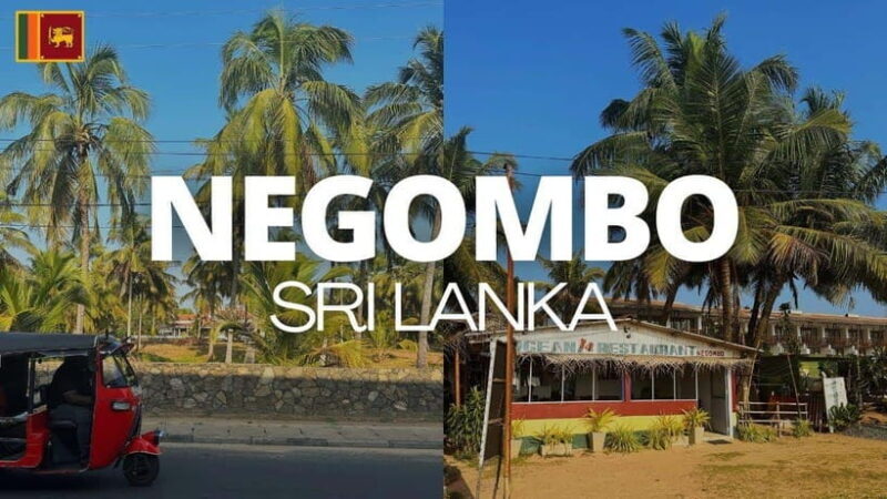 Negombo City : Explore the Fish Market & Dutch Canal by Boat - A Deep Dive into the Experience