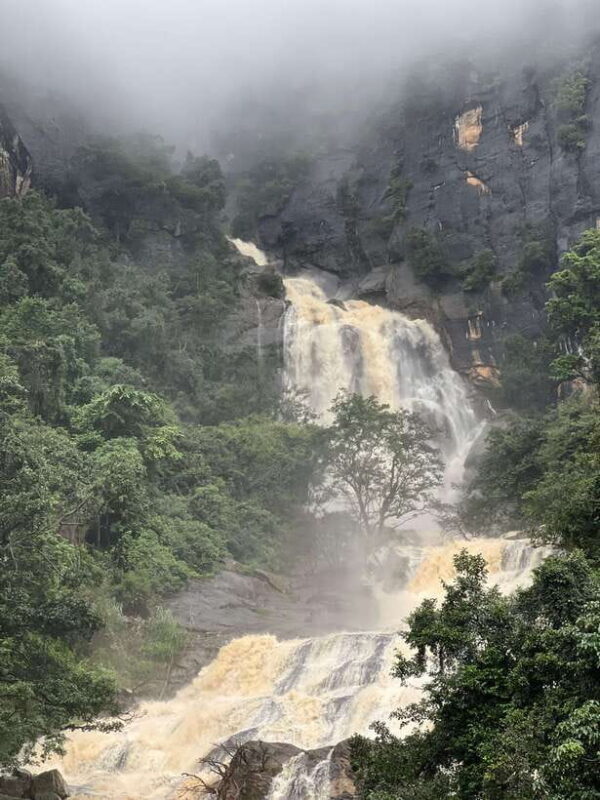 Negombo/Colombo: 10-Day Private Sri Lanka Tour with Hotel - Key Points