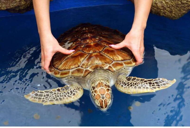Negombo/Colombo:Private Galle Dutch Fort & Madu River Safari - The Value and Practicality