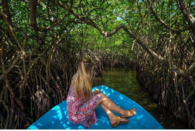 Negombo/Colombo:Private Galle Dutch Fort & Madu River Safari - Who Should Consider This Tour?