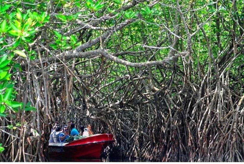 Negombo/Colombo:Private Galle Dutch Fort & Madu River Safari - Final Word