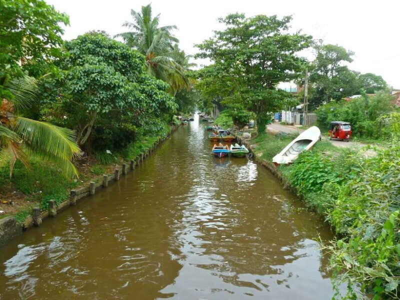 Negombo:Dutch Canal, Lagoon, Muthurajawela Private Boat Tour - What to Expect from the Tour