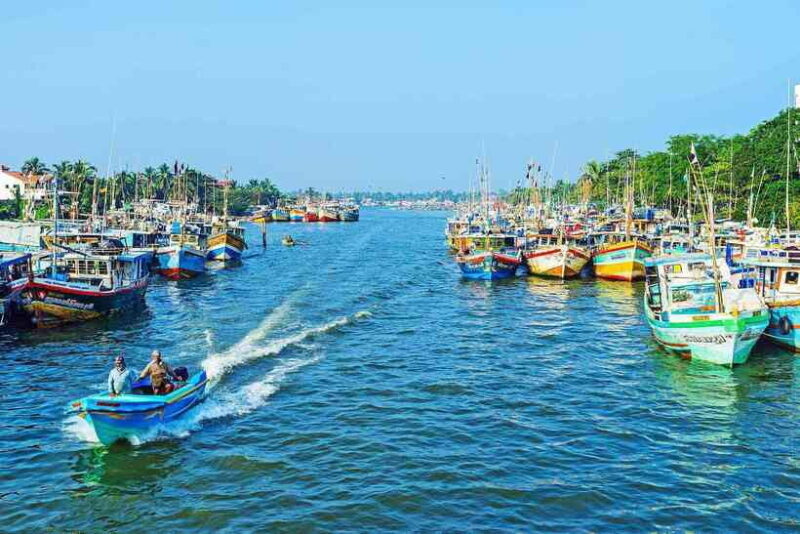 Negombo:Dutch Canal, Lagoon, Muthurajawela Private Boat Tour - Who Will Enjoy This Tour Most?