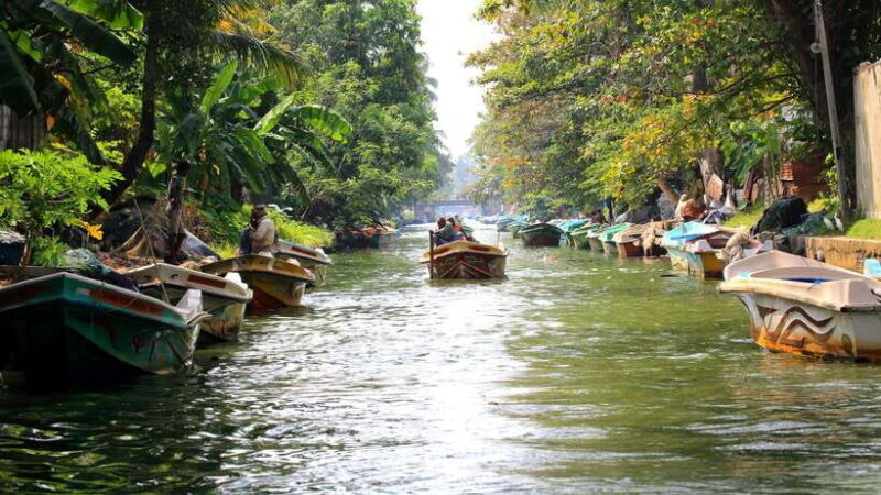 Negombo:Dutch Canal, Lagoon, Muthurajawela Private Boat Tour - Final Thoughts