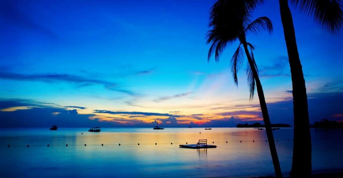 Negril 7-Hour Tour From Montego Bay - Witness Jamaican Cliff Diving Spectacle