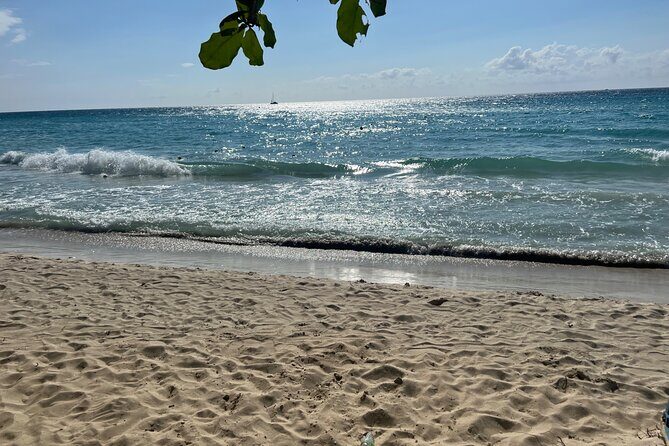 Negril 7 Mile Beach and Ricks Cafe Tour - What Do Travelers Say?