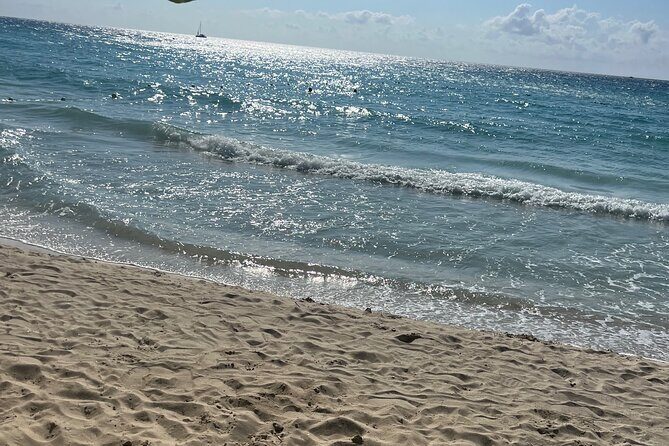 Negril 7 Mile Beach and Ricks Cafe Tour - Why This Tour Works for You