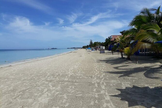 Negril 7 Miles Beach and Rick's Cafe Tour - Final Thoughts: Why This Tour Is Worth Considering