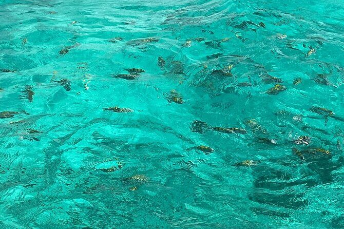 Negril and Ricks Cafe Sunset Tour with Boat Ride and Snorkeling - A Closer Look at the Tour Itinerary