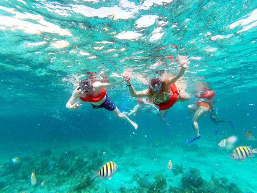 Negril Beach and Catamaran Cruise - Locals Cliff Diving and Reggae