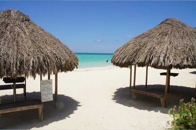 Negril Beach & Rick's Cafe Tour - A Deep Dive into the Experience