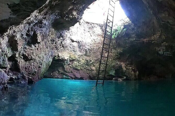 Negril Blue Hole Mineral Spring & Optional * medicine plant Tour - The Optional Medicine Plant & Herb Tour