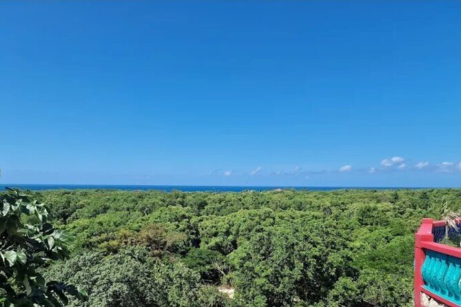 Negril Blue Hole Mineral Spring & Optional * medicine plant Tour - The Sum Up