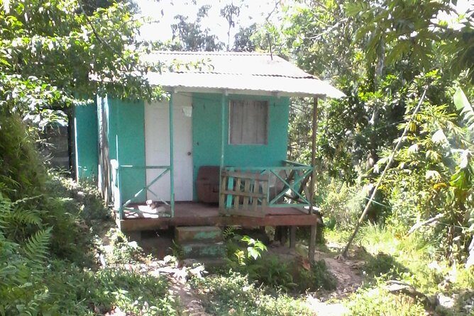 Negril Country Side Tour & Rick's Cafe - Why This Tour Offers Good Value