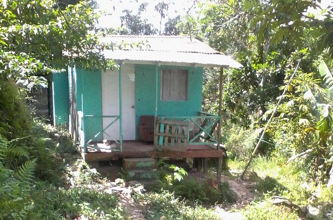 Negril Country Side Tour & Rick's Cafe - Who Will Appreciate This Tour?