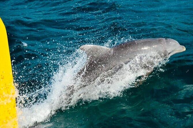 Negril: MORNING FAMILY Cruise Caves Swimming Snorkeling - What Travelers Say