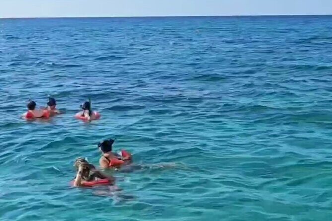 Negril: MORNING FAMILY Cruise Caves Swimming Snorkeling - FAQs