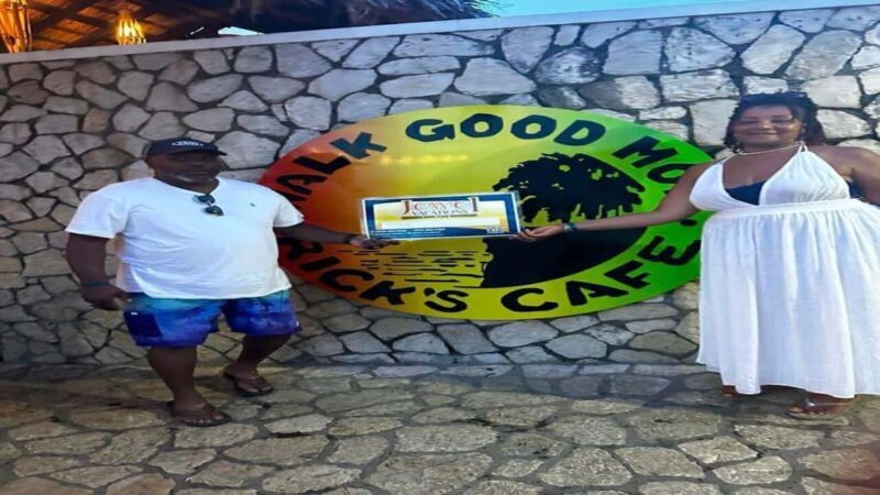 Negril: Private 7 Miles Beach & Ricks Cafe Tour - Final Thoughts