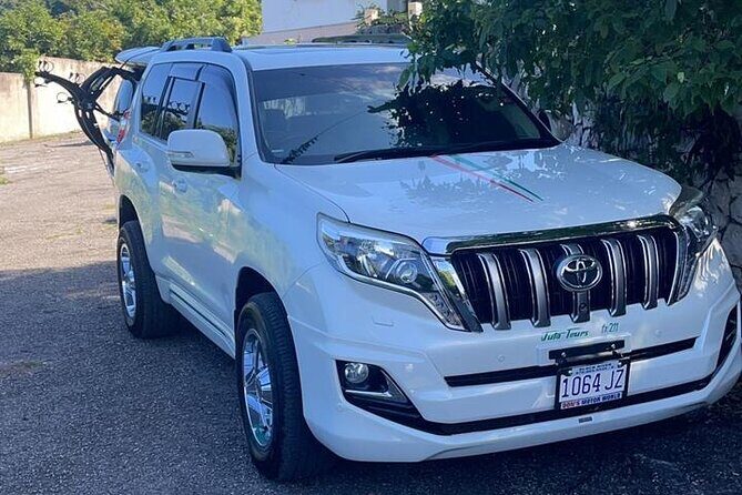 Negril Private Airport Transfer - Who Will Love This Service?