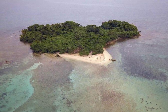 Negril Ricks cruise PLUS Booby Cay Lobster & Cave Snorkeling - Real Traveler Insights & Practical Tips