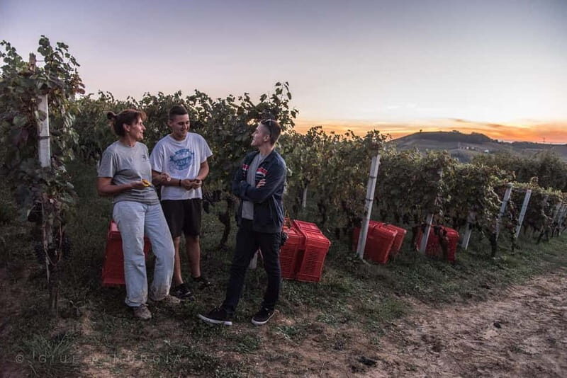 NEIVE: WINERY TOUR AND TASTING 5 WINES - Why This Tour Works: The Strengths and Considerations