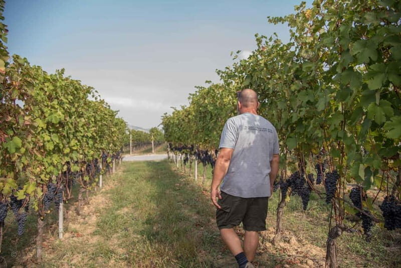 NEIVE: WINERY TOUR AND TASTING 5 WINES - FAQ