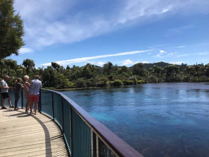 Nelson: Abel Tasman Cruise-Fly Day Tour - Key Points