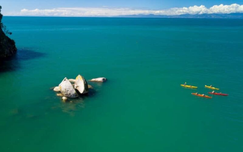 Nelson: Abel Tasman Kayaking & Great Taste Trail Bike Tour - Key Points