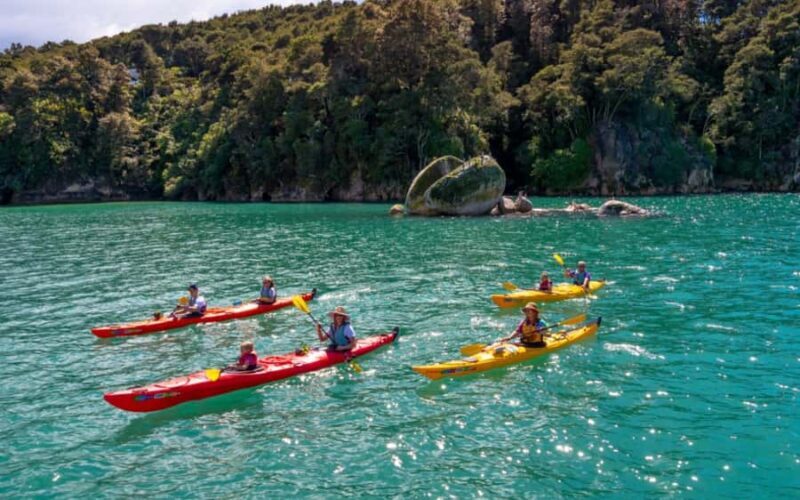 Nelson: Abel Tasman Kayaking & Great Taste Trail Bike Tour - What Makes This Tour Stand Out?