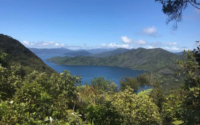 Nelson: Abel Tasman Kayaking & Great Taste Trail Bike Tour - Analyzing the Value