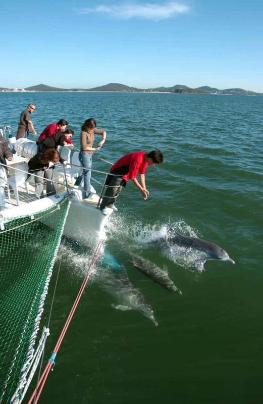 Nelson Bay: Dolphin Watch Cruise and Sail - An Authentic Dive into Nelson Bays Marine Life