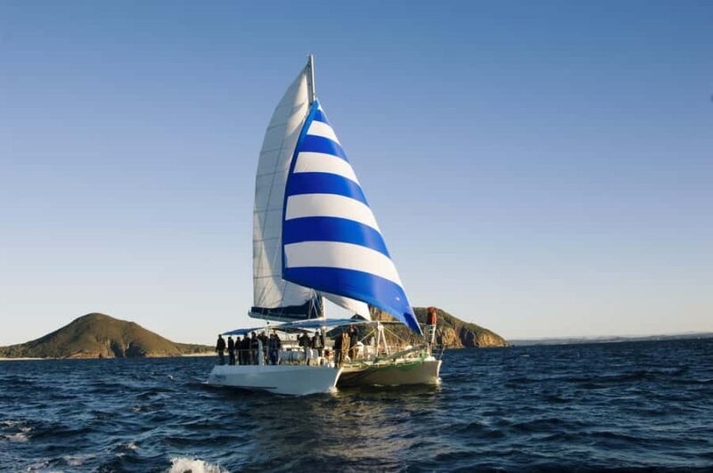 Nelson Bay: Dolphin Watch Cruise and Sail - The Sum Up: Why This Experience Is Worth It