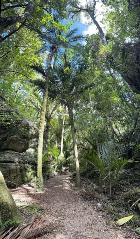 Nelson: Cruise Abel Tasman National Park to Golden Bay Tour - FAQ