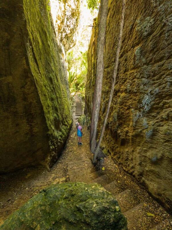 Nelson: Golden Bay in a Day Tour - An Honest Look at the Nelson: Golden Bay in a Day Tour