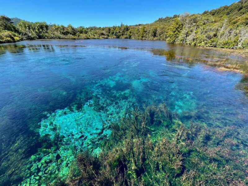 Nelson: Golden Bay in a Day Tour - Who Will Love This Tour?
