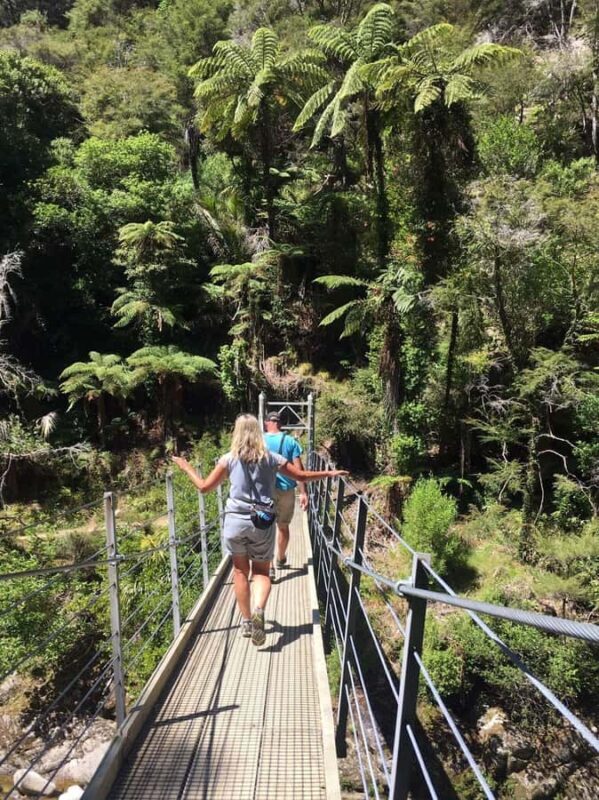 Nelson: Golden Bay in a Day Tour - FAQ