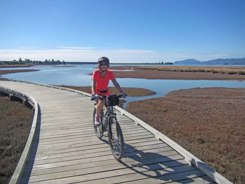 Nelson: Great Taste Trail Coastal Bike Ride to Mapua - Nelson: Great Taste Trail Coastal Bike Ride to Mapua — A Detailed Look