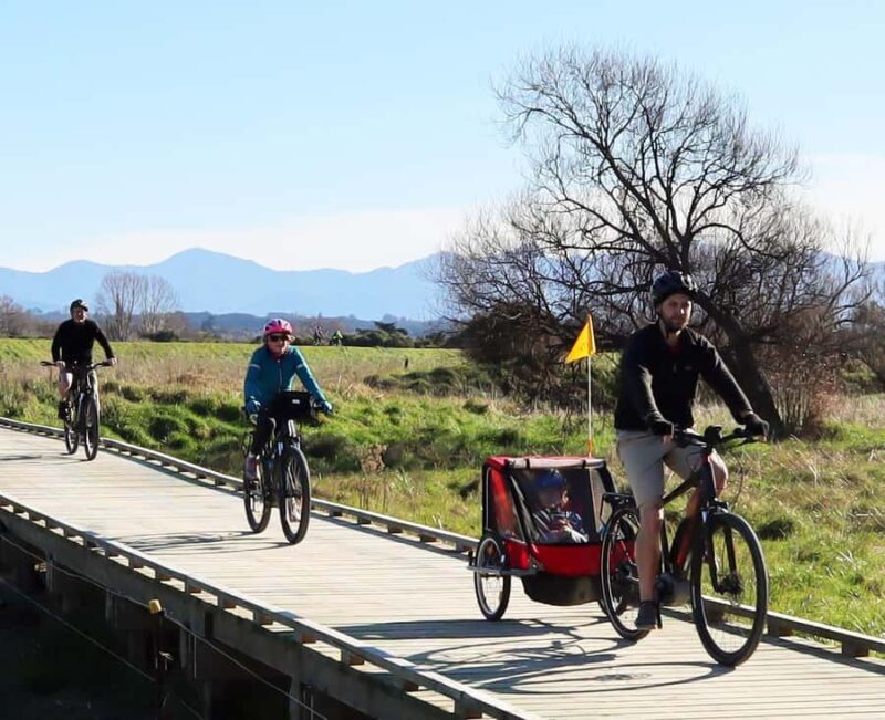 Nelson: Great Taste Trail Coastal Bike Ride to Mapua - The Sum Up