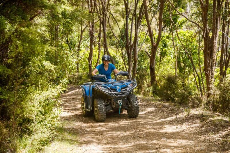 Nelson: Guided Quad Biking Tour Through Forest and Farmland - Practical Details: What You Need to Know