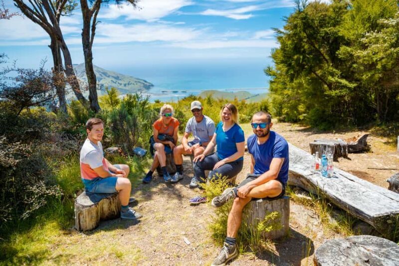 Nelson: Guided Quad Biking Tour Through Forest and Farmland - Who Should Consider This Tour?