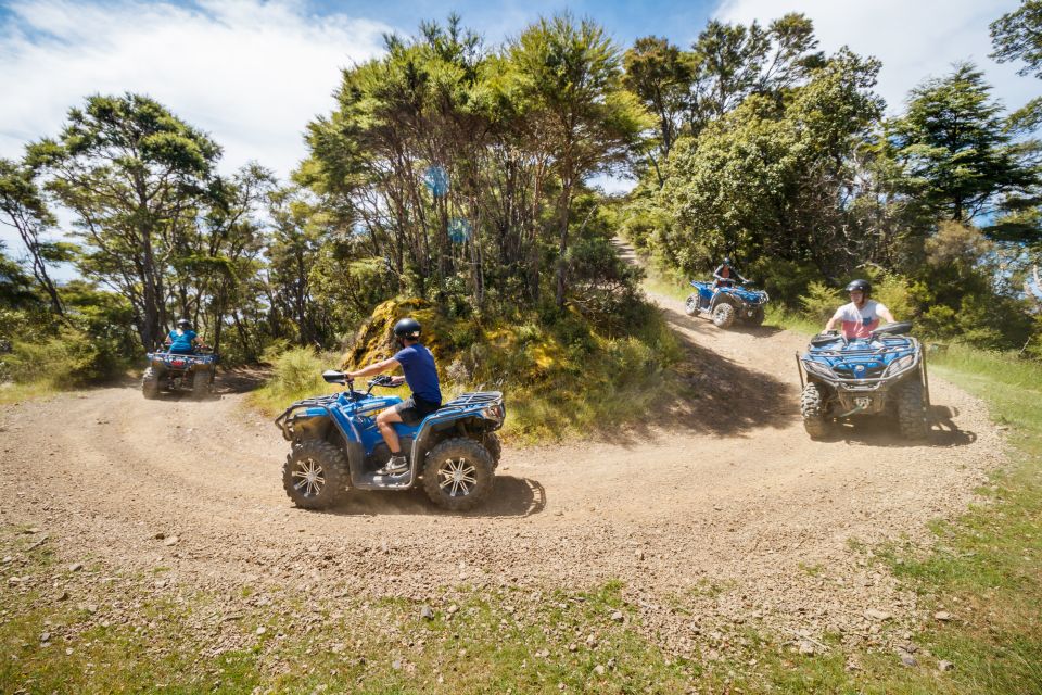 Nelson: Guided Quad Biking Tour Through Forest and Farmland - Key Points