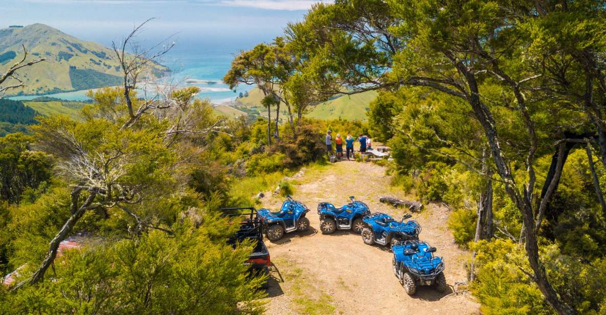 Nelson: Guided Quad Biking Tour Through Forest and Farmland - Booking Information