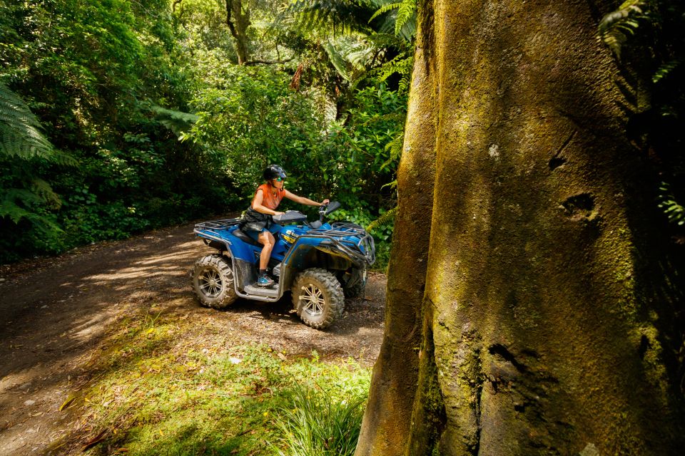 Nelson: Guided Quad Biking Tour Through Forest and Farmland - Activity Itinerary