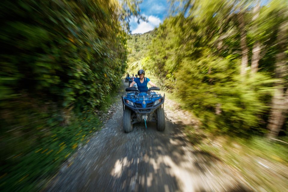 Nelson: Guided Quad Biking Tour Through Forest and Farmland - Participant Requirements