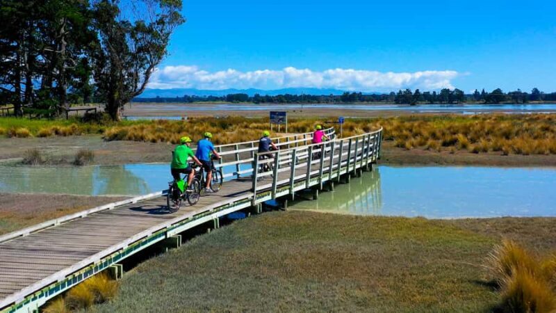 Nelson to Mapua: Full-Day Cycling Self-Guided Adventure - What to Expect on the Tour