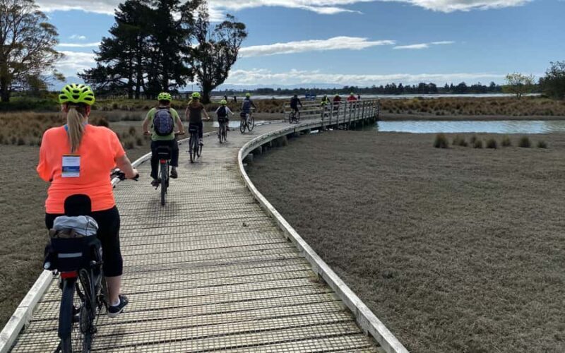 Nelson to Mapua: Full-Day Cycling Self-Guided Adventure - Final Thoughts