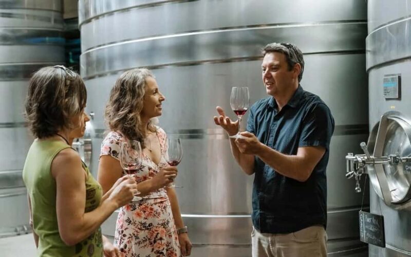 Nelson: Wine Tour with Tastings and Lunch - A Closer Look at the Nelson Wine Tour