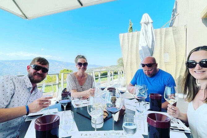 Nemea Wine Tour from Athens, Nafplio or Nemea with Oenologists - Final Thoughts