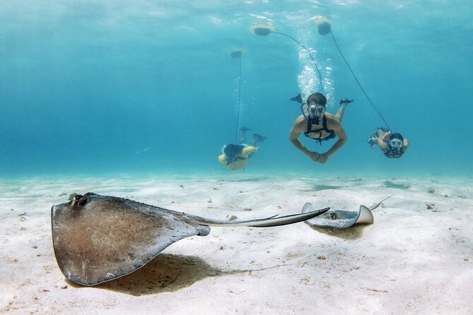NEMO Diving System Snorkeling Experience Review - Overview of the NEMO Diving System