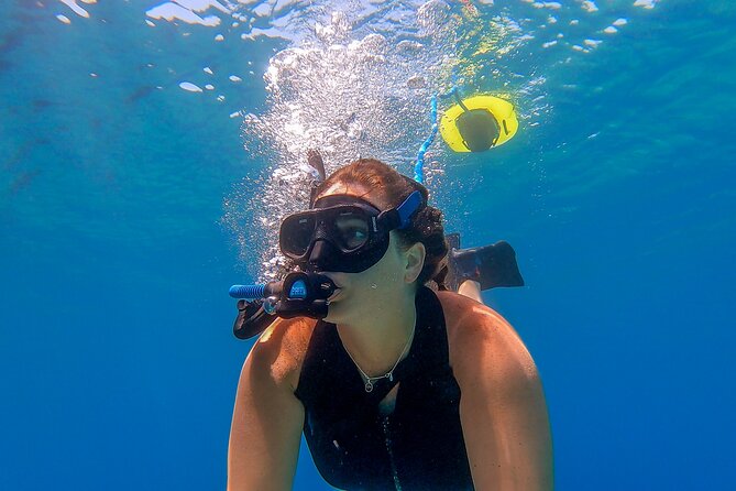 NEMO Diving System Snorkeling Experience Review - Dive Shop and Meeting Point Details